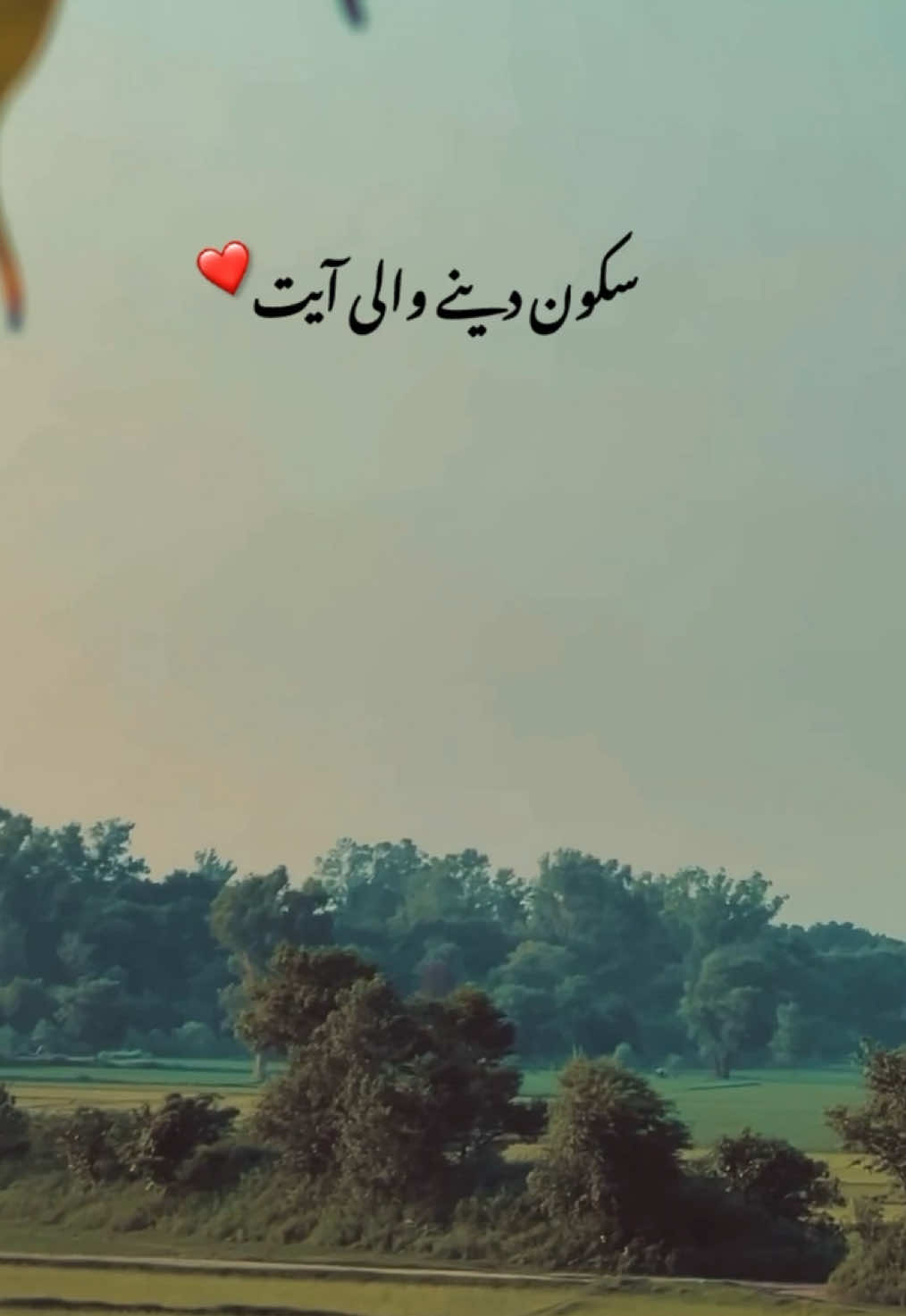 @پنجاب❤️&zwj;🩹