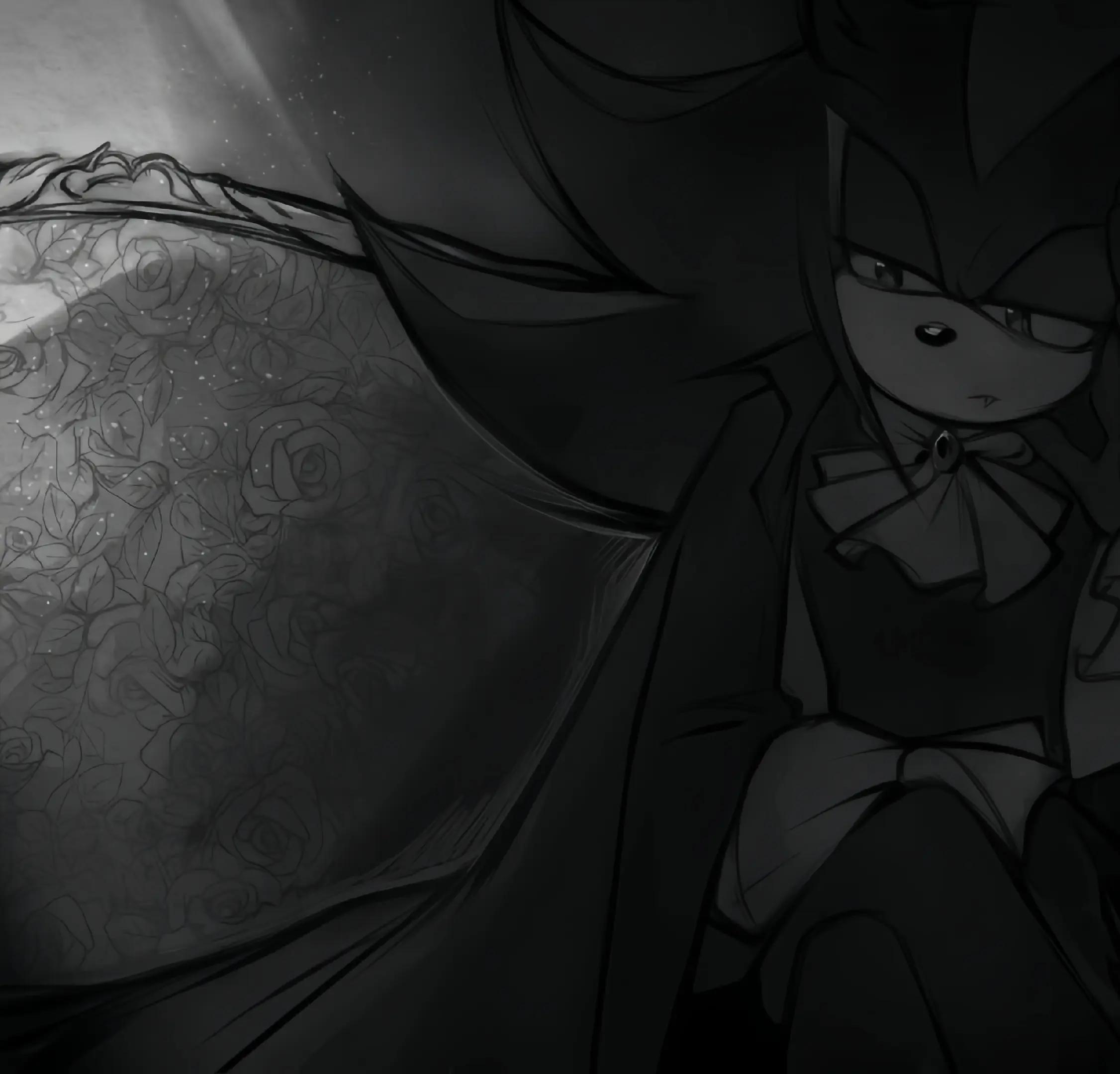 @sonadow.03