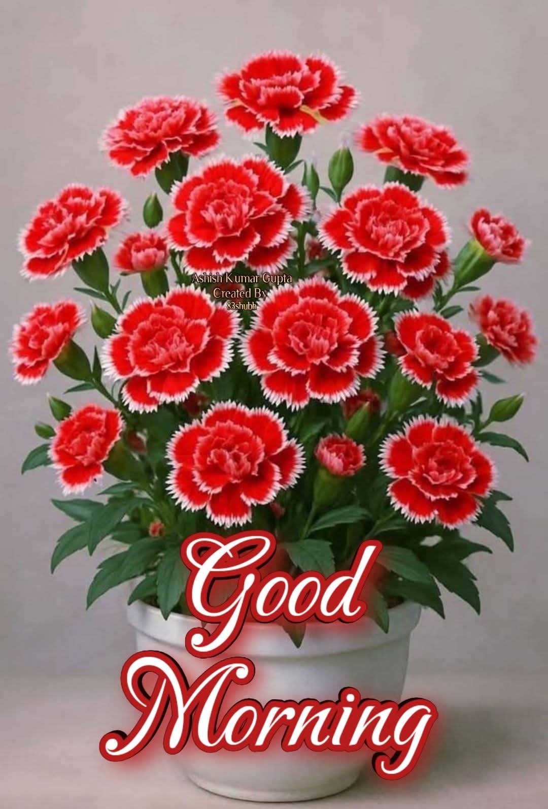 @ritabalgobin1