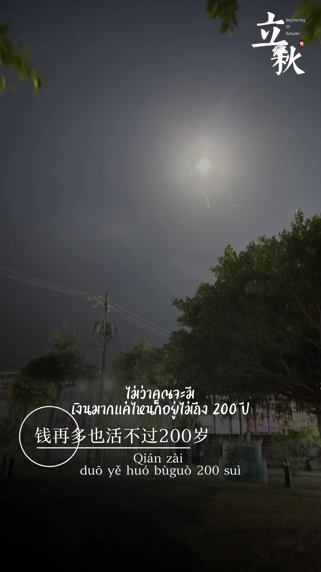 @卡比獸