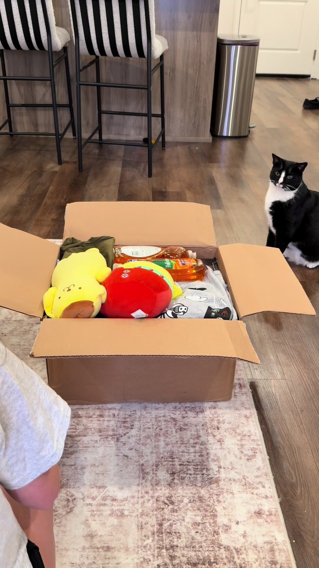 @Dawn 🧡🐱