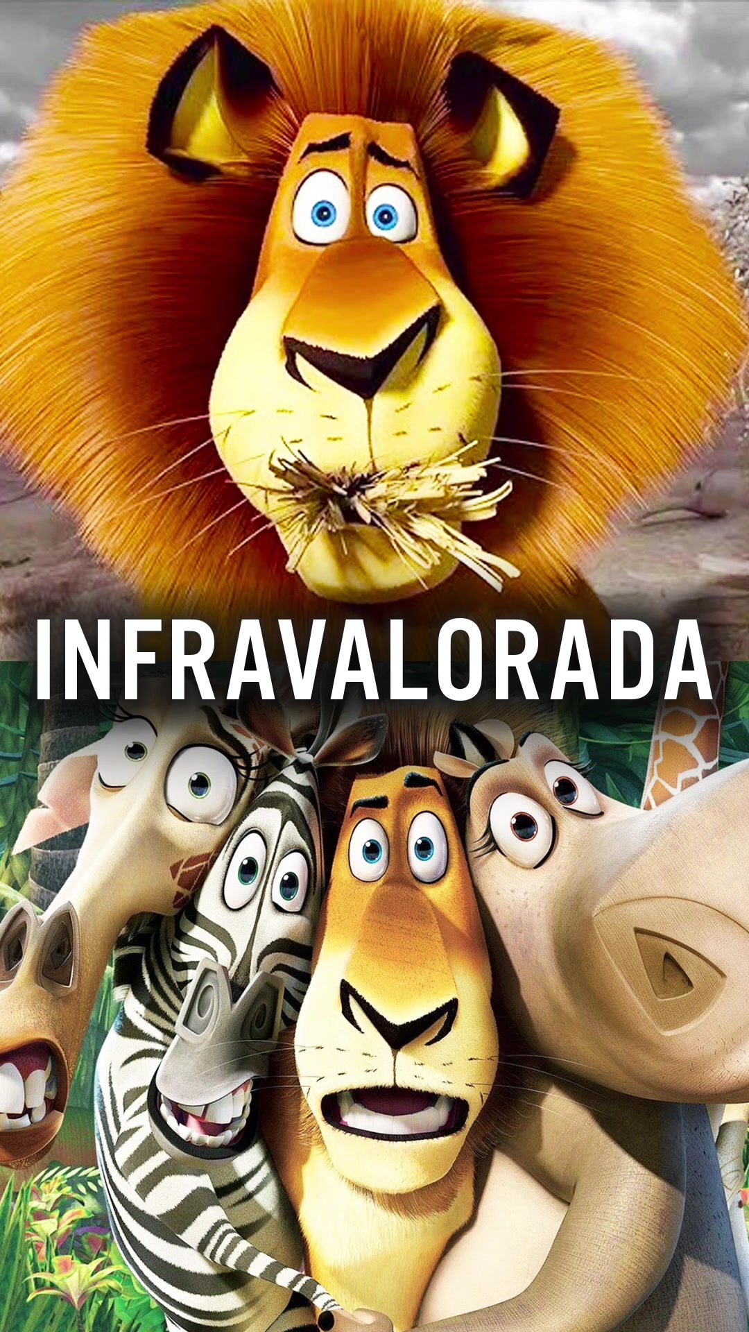 @La Ruta Variada