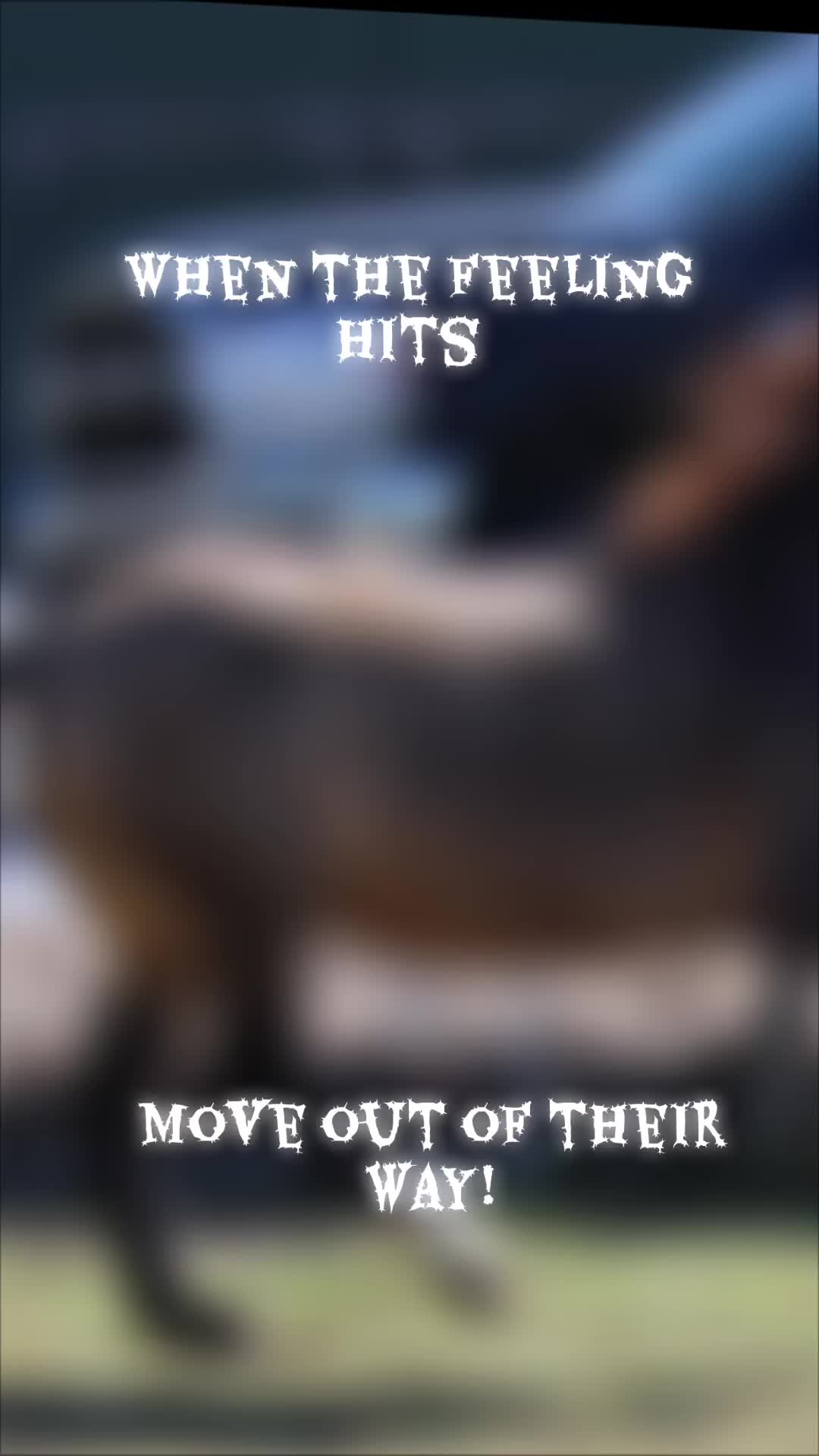 @Guess Who6865