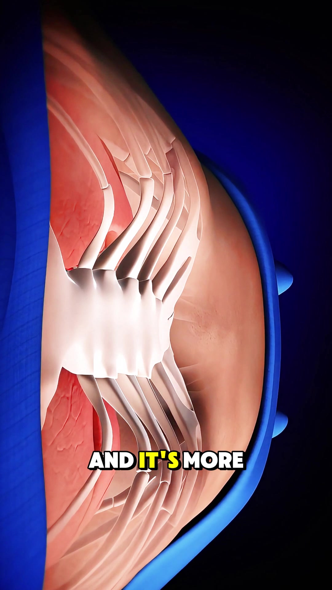 @Human 3D