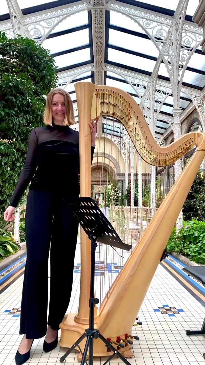 @bollywoodharpist