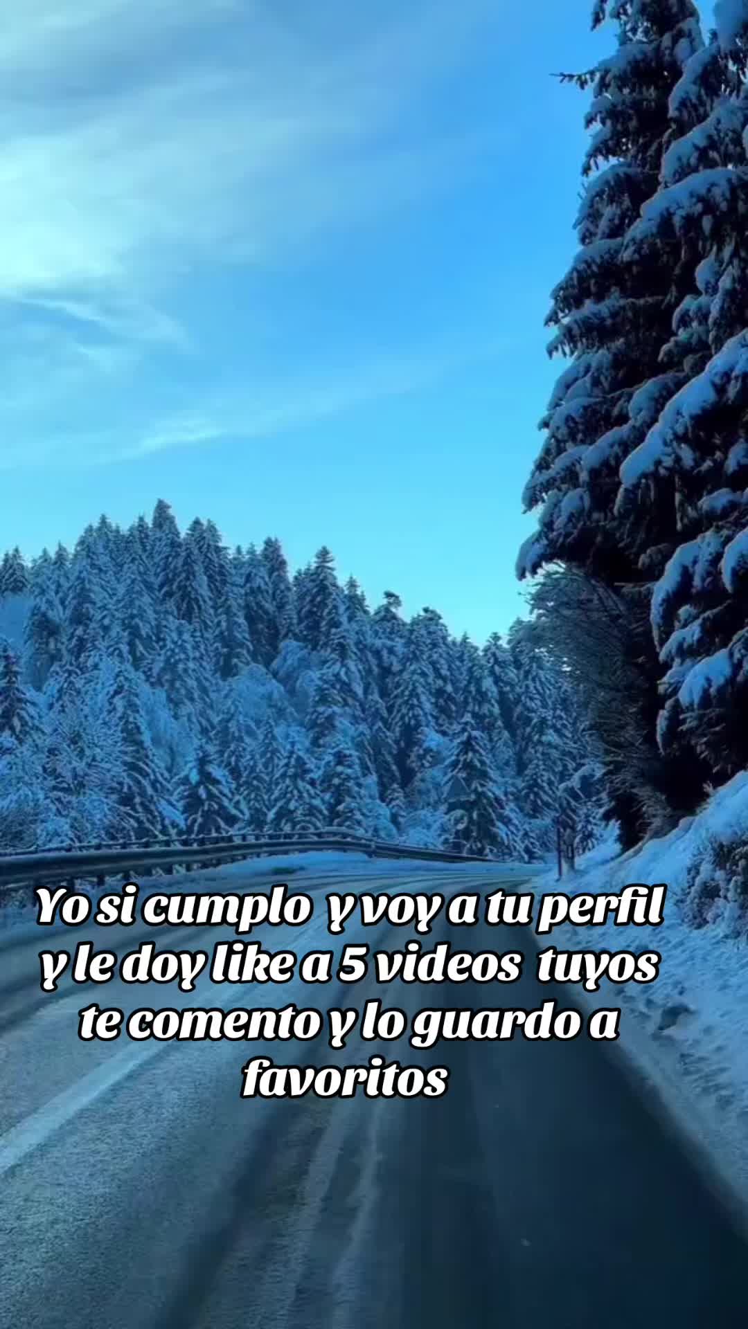 @Aliciag13