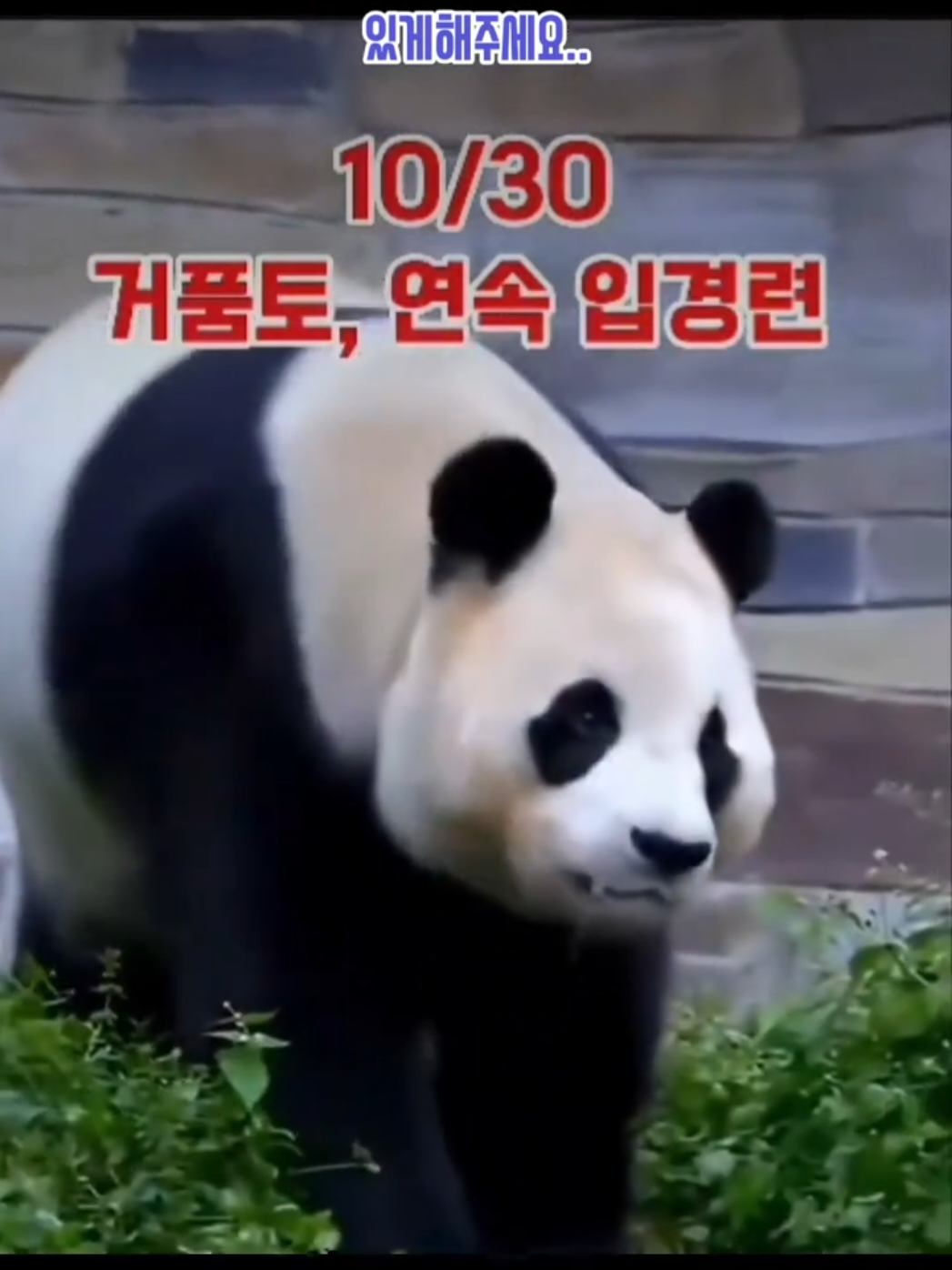 @반짝이는비니♡