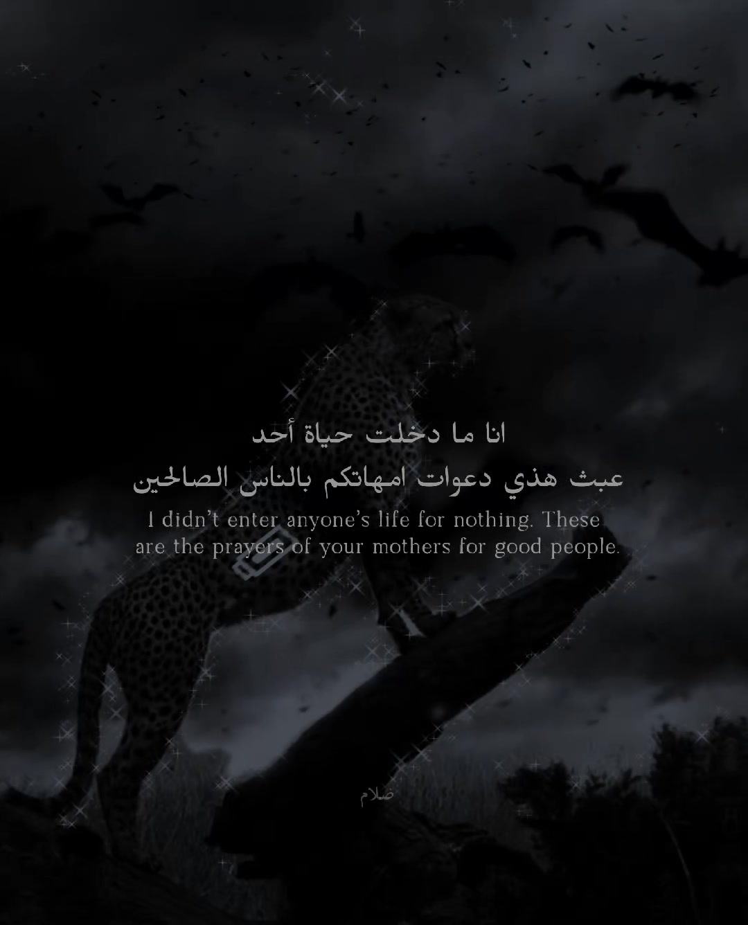 @▅ ▆ ▇ █ ظلام █ ▇ ▆ ▅