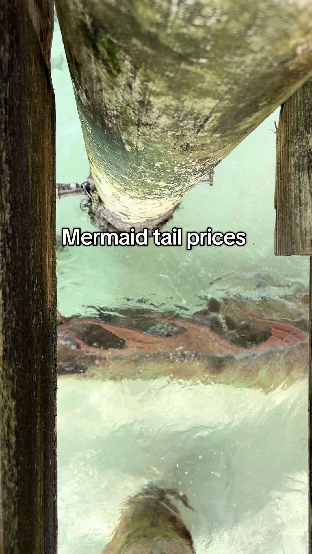 @HaleyMermaid