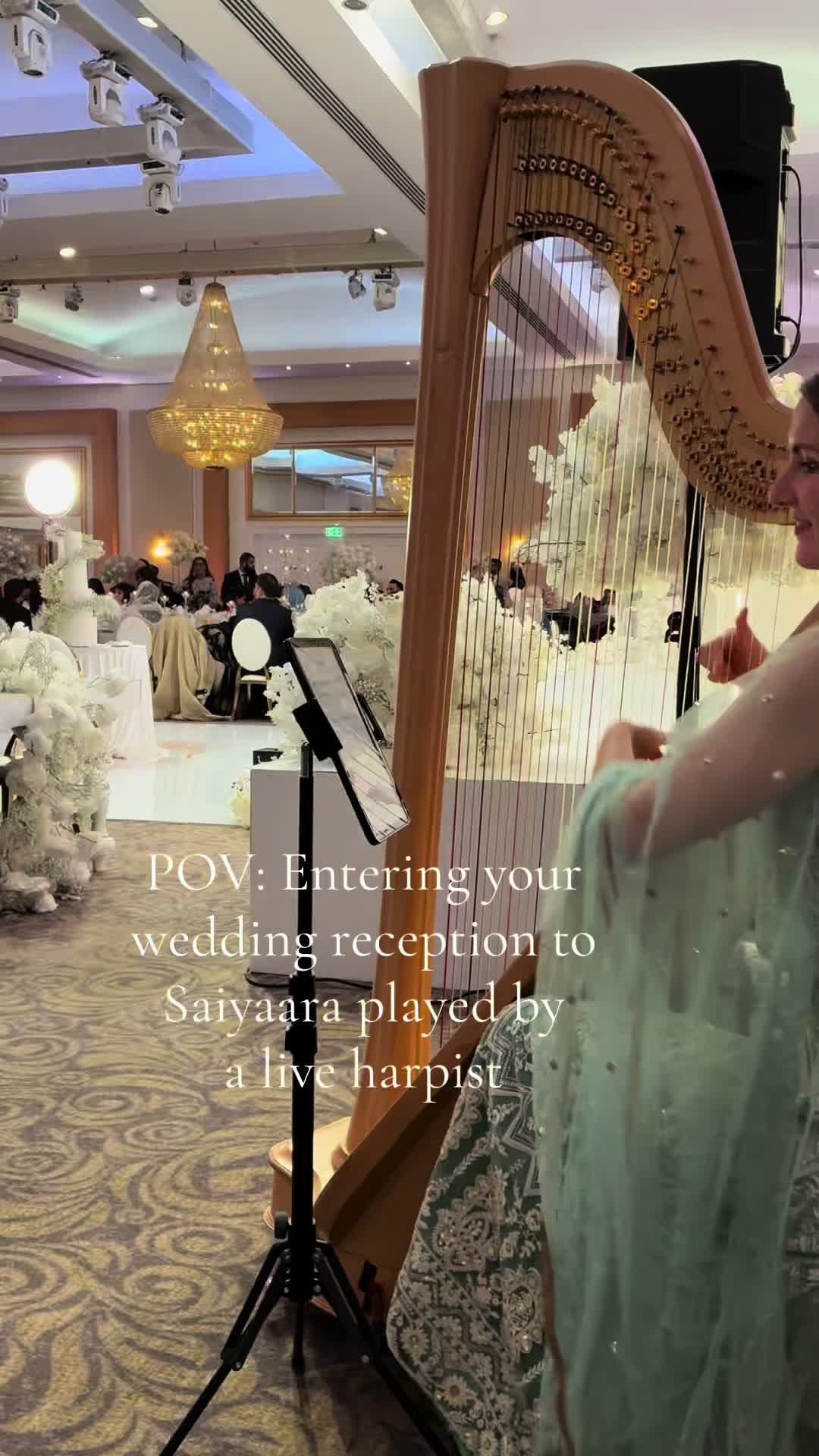 @bollywoodharpist
