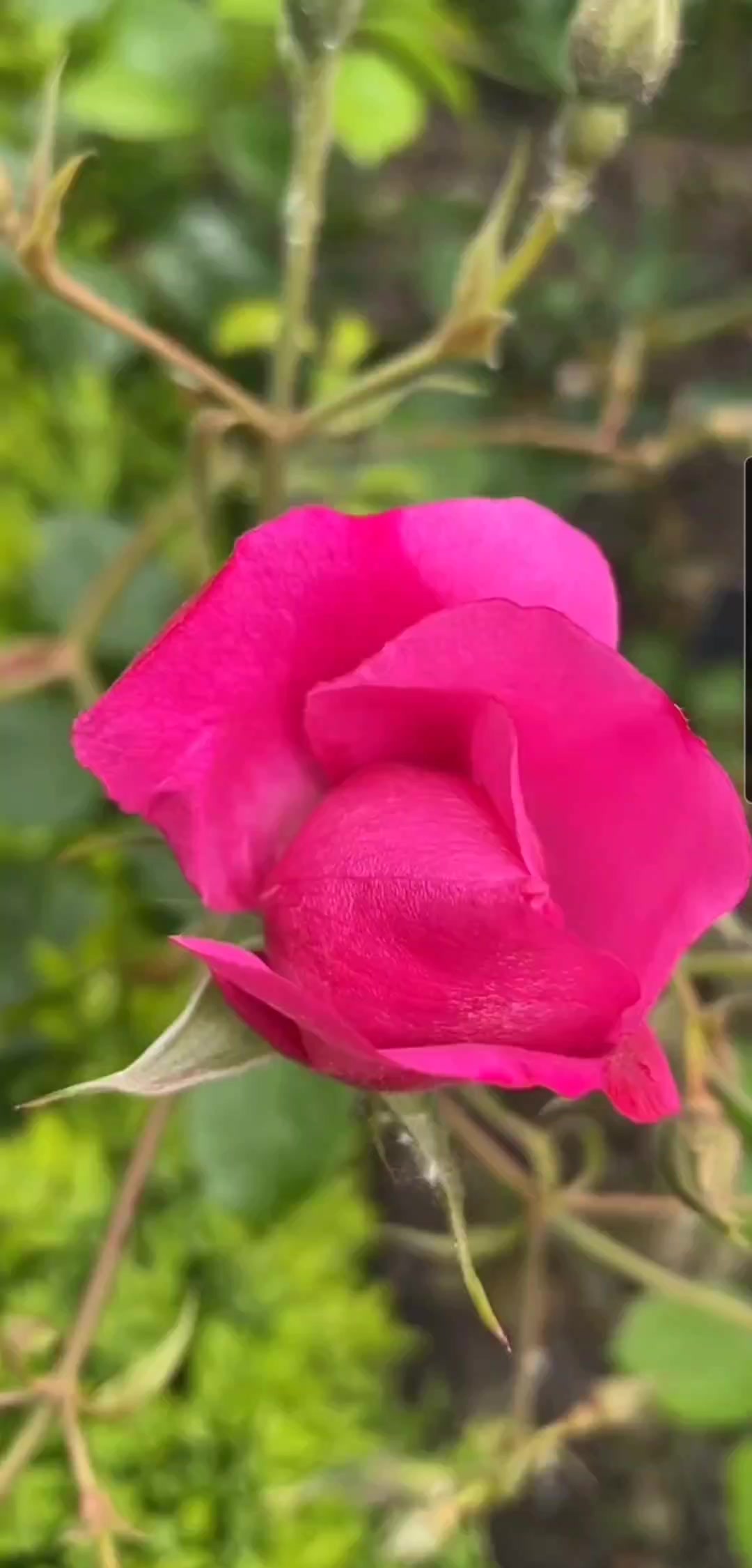 @🩵다솜🩵