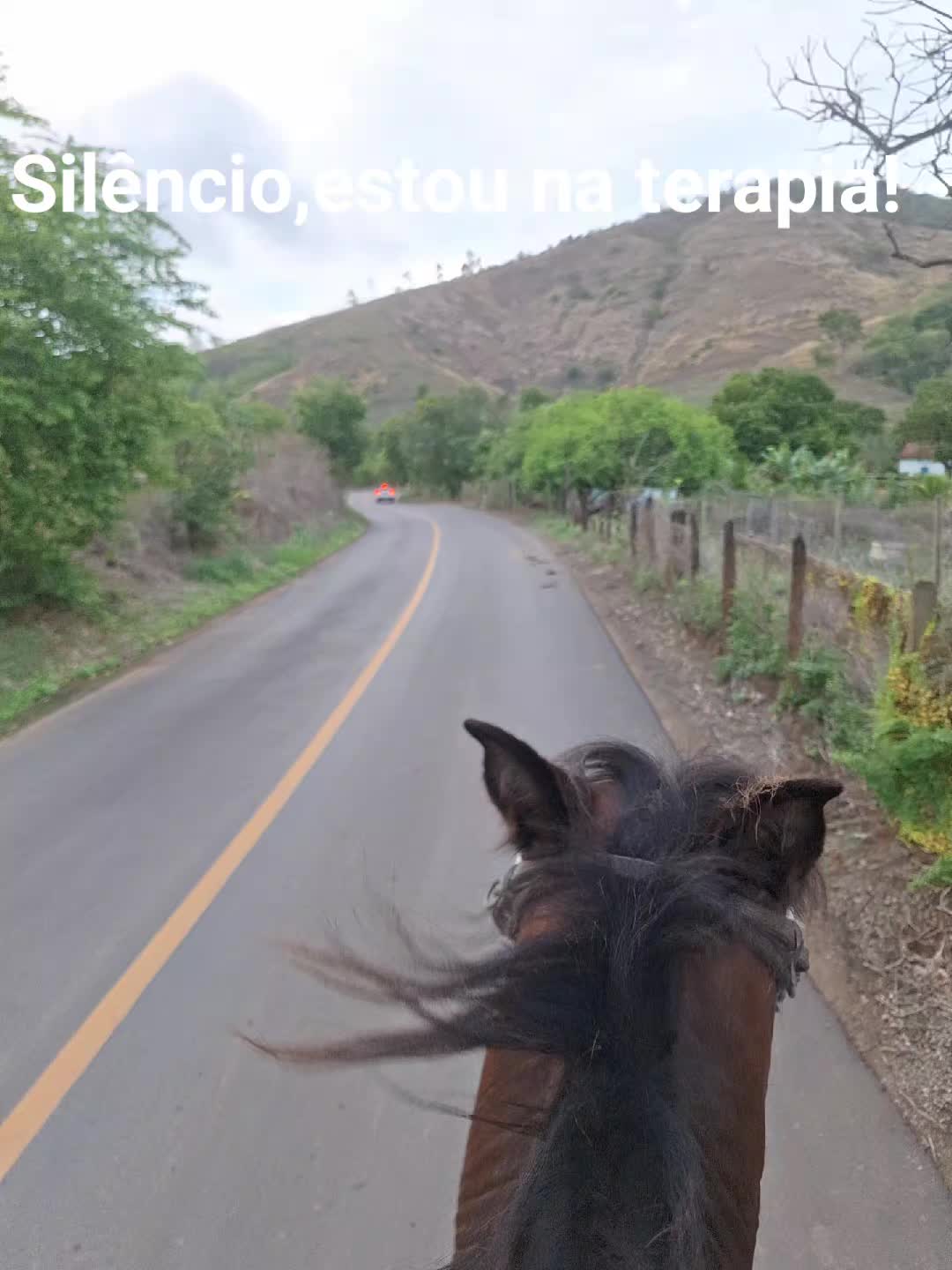 @neylsonalcantara