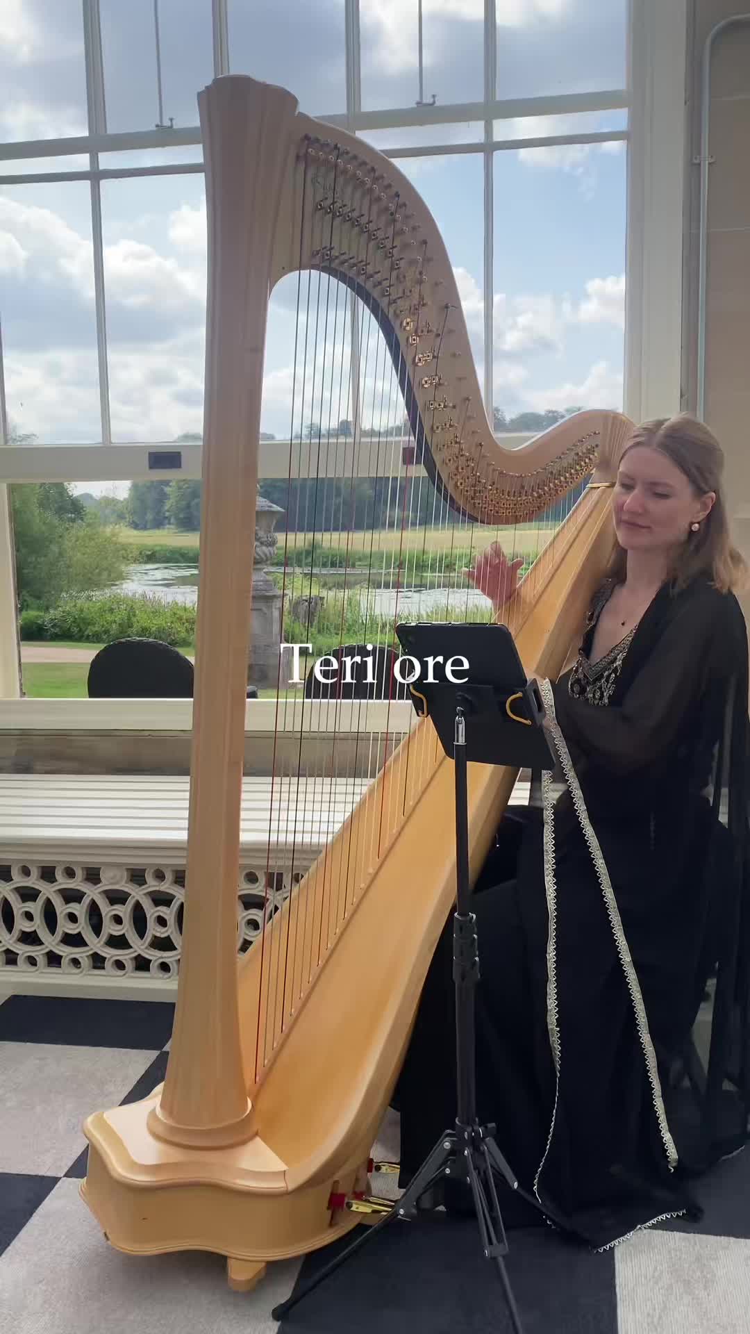 @bollywoodharpist
