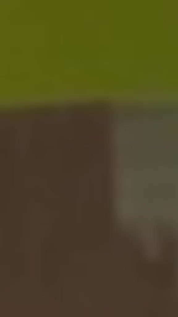 @Gisela Gonzalez