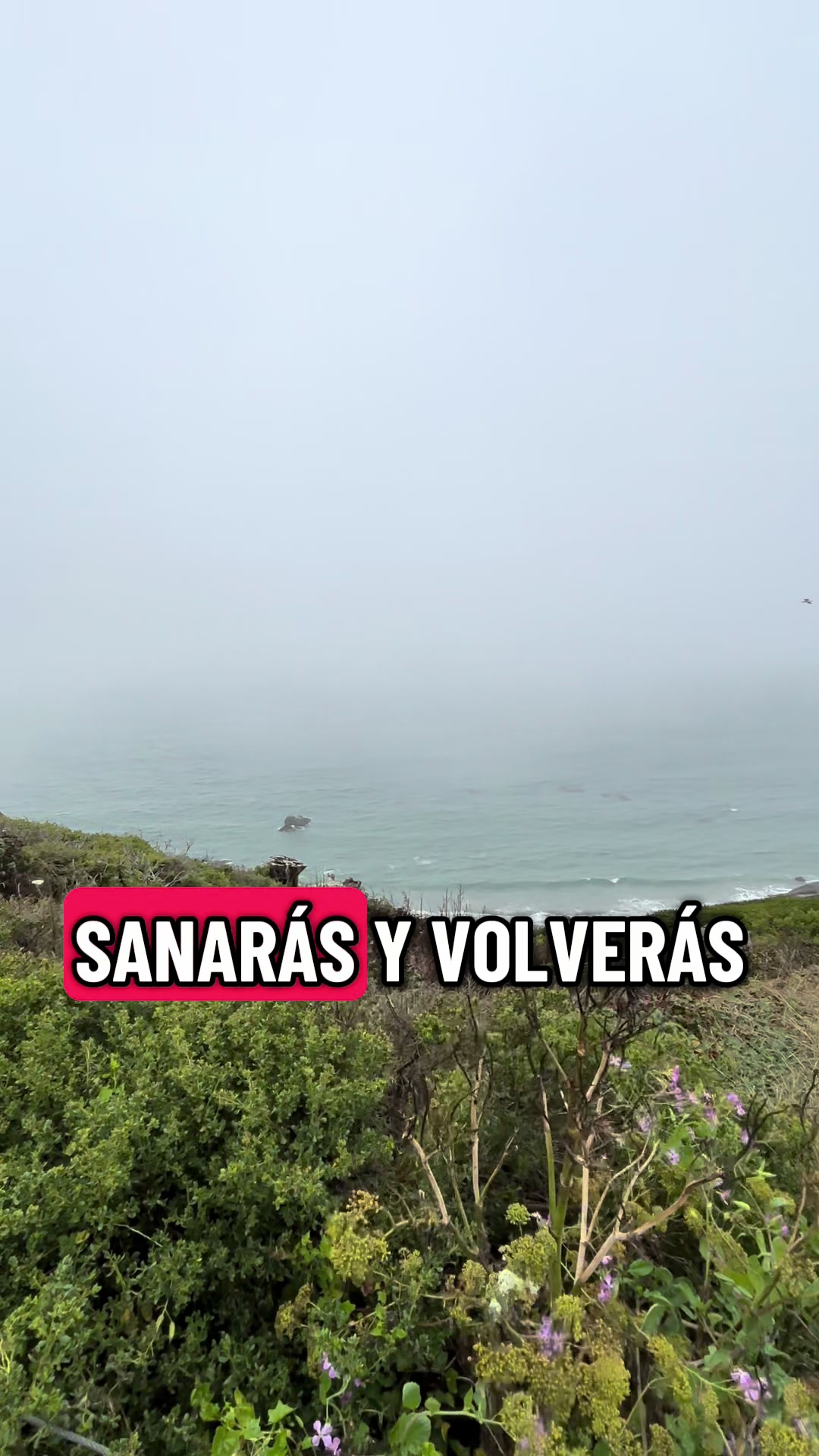 @DEA