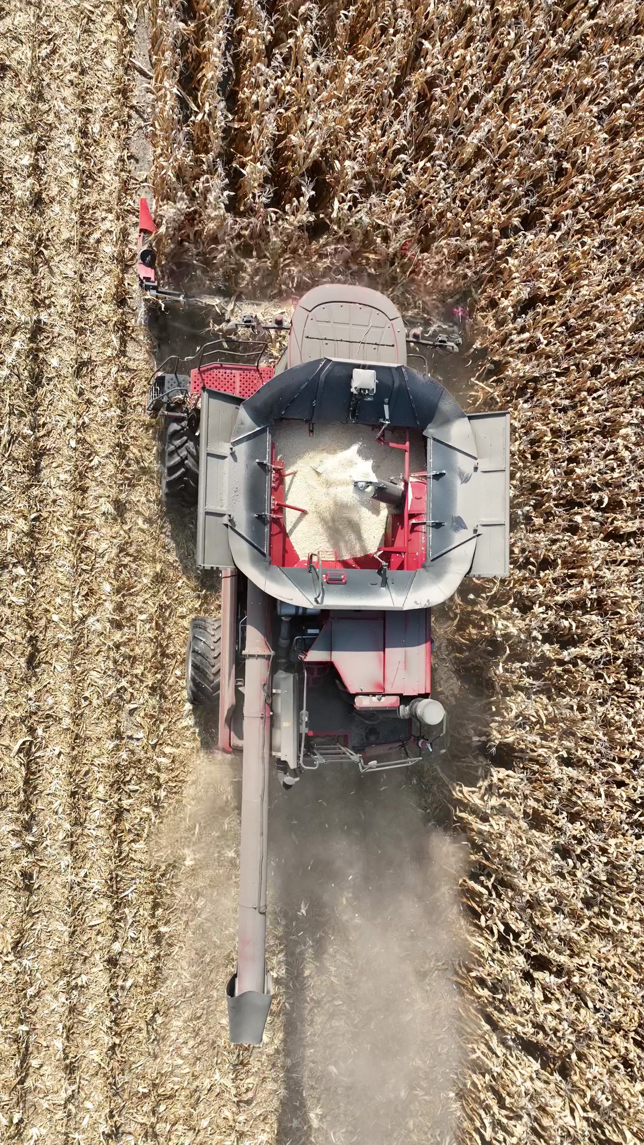 @Central Illinois Ag