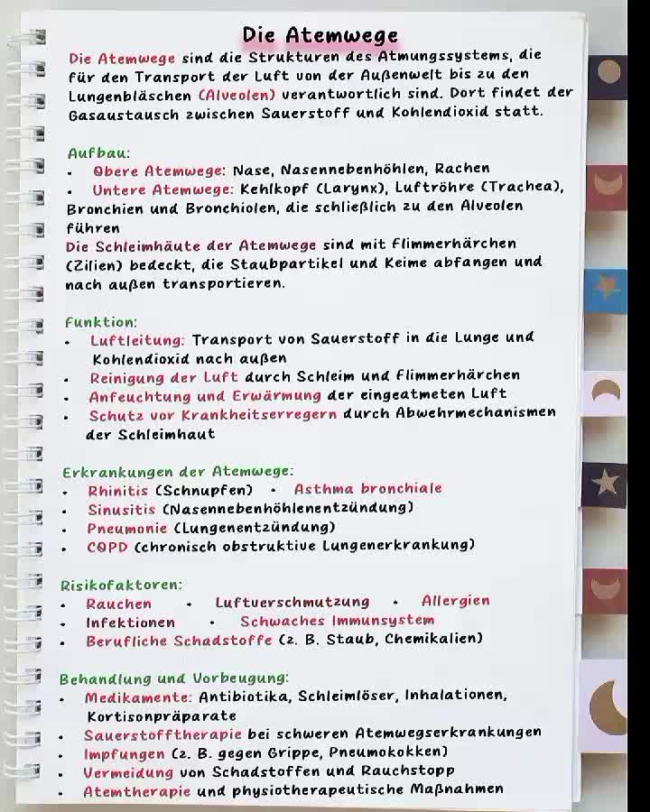 @Pflege Wissen