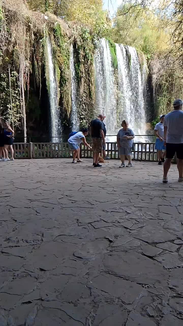 @решад