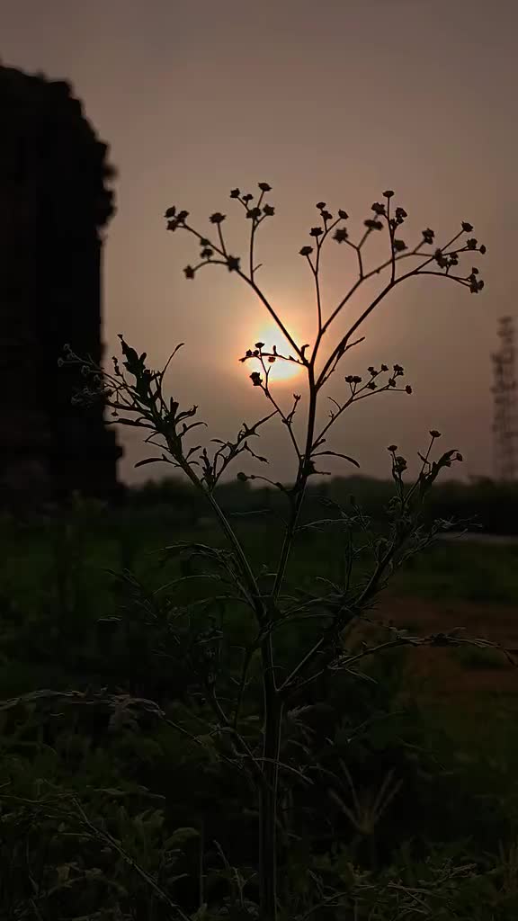 @AحMAD