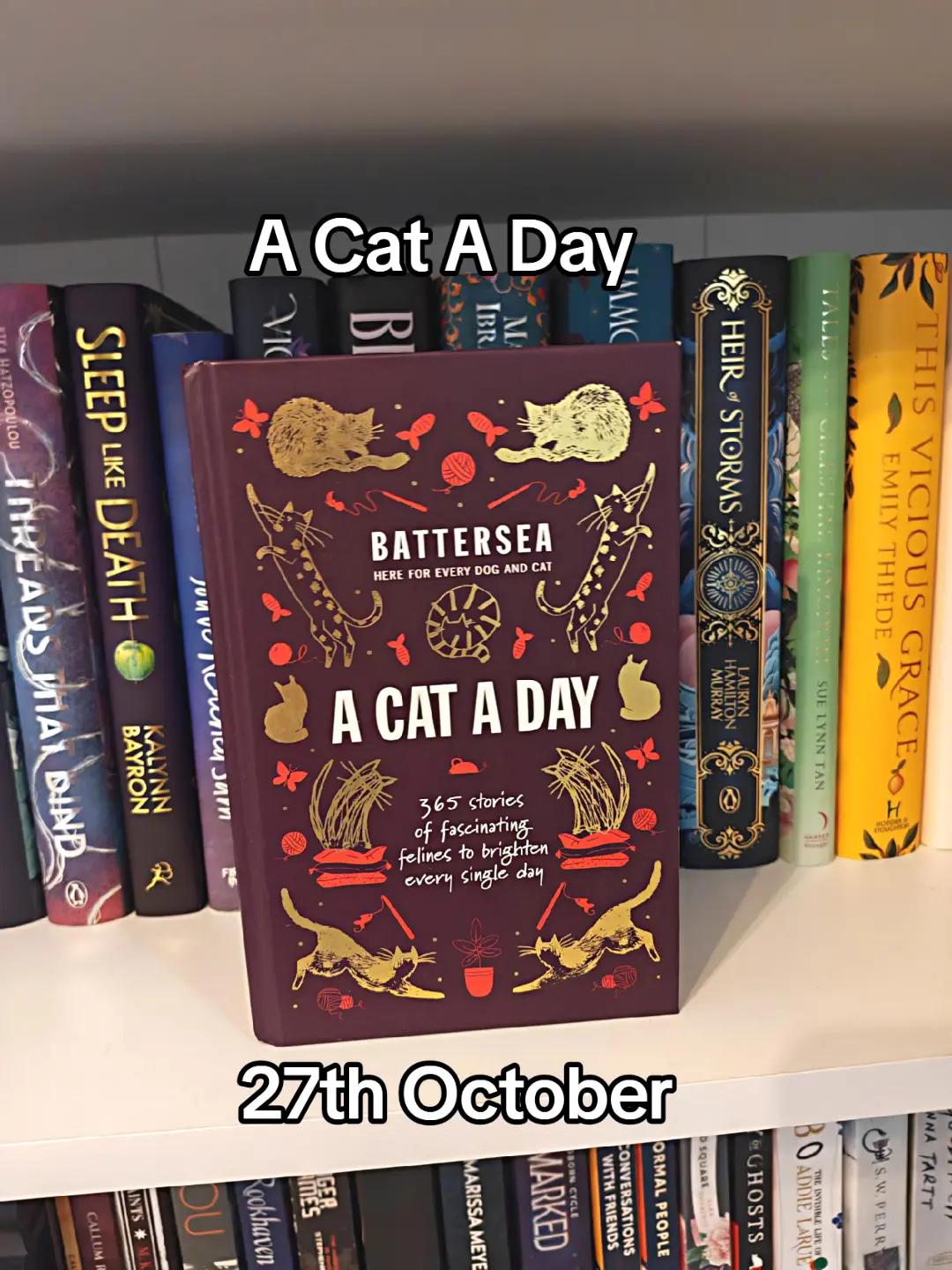 @BooksWithBrooke📚