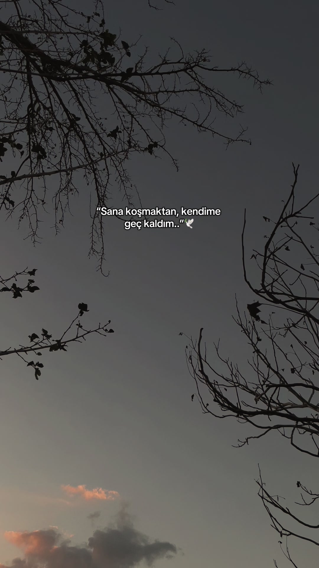 @meralsimsekk1