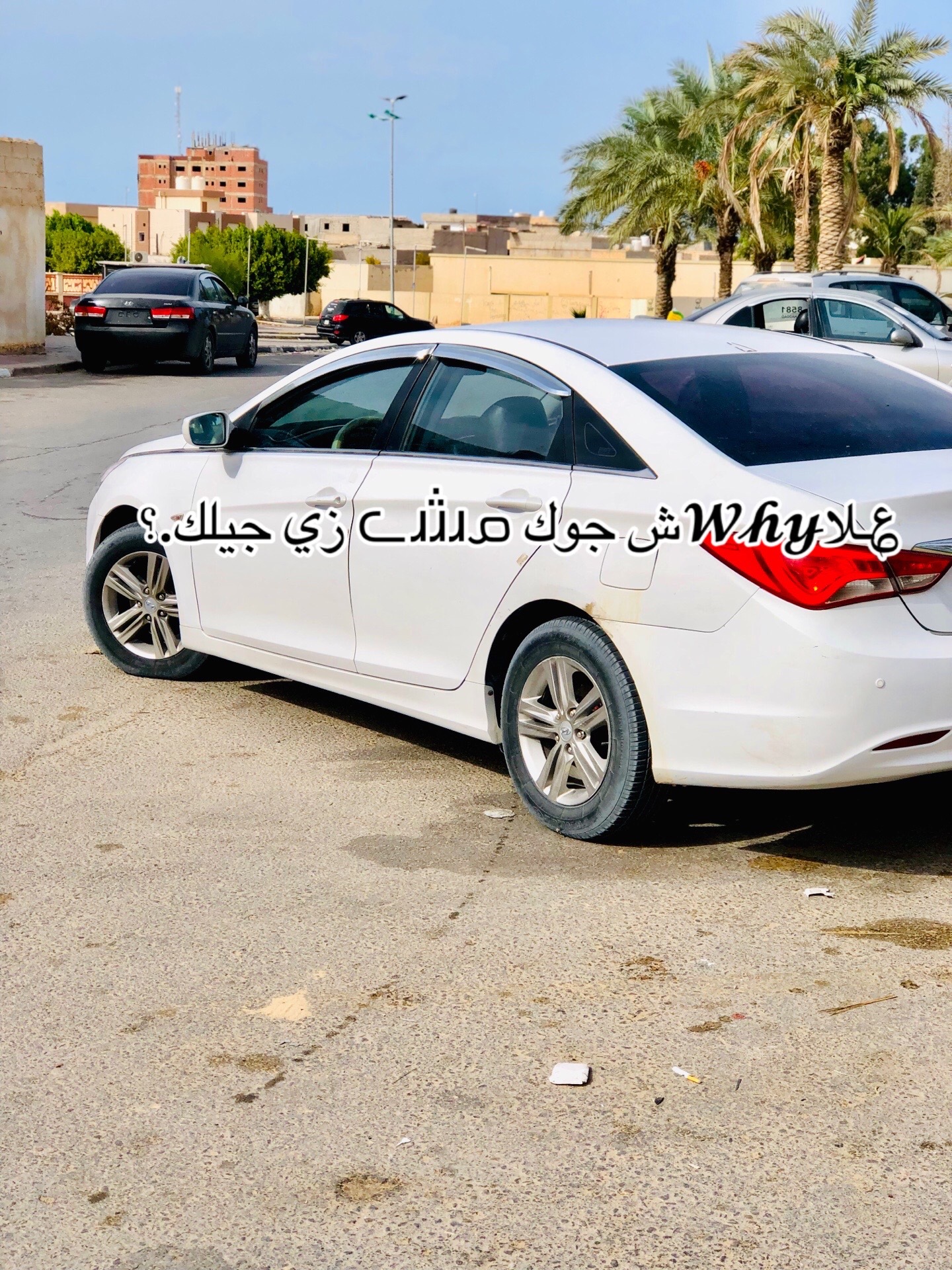 @,ًمحمد ال ,ًعجيلي🔥🦅