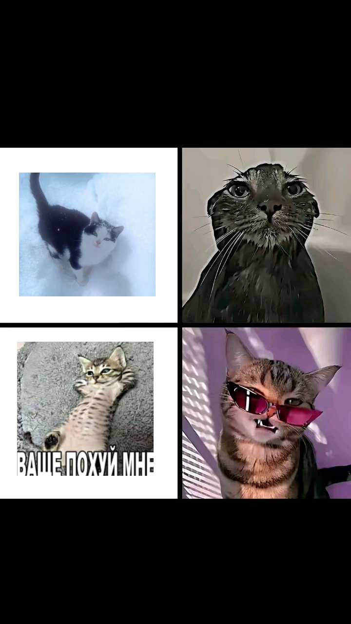 @Limoncik01
