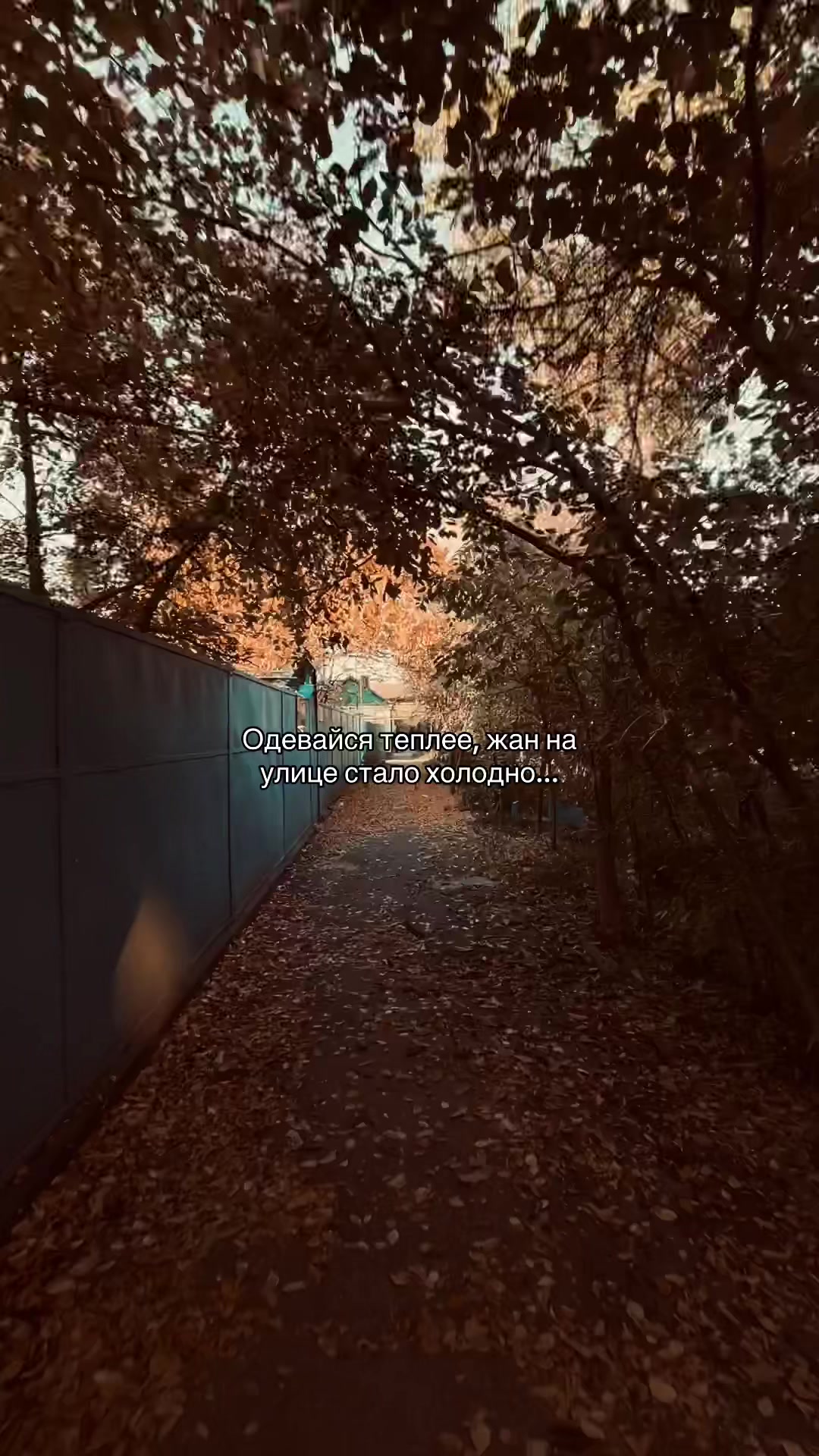 @shodik077