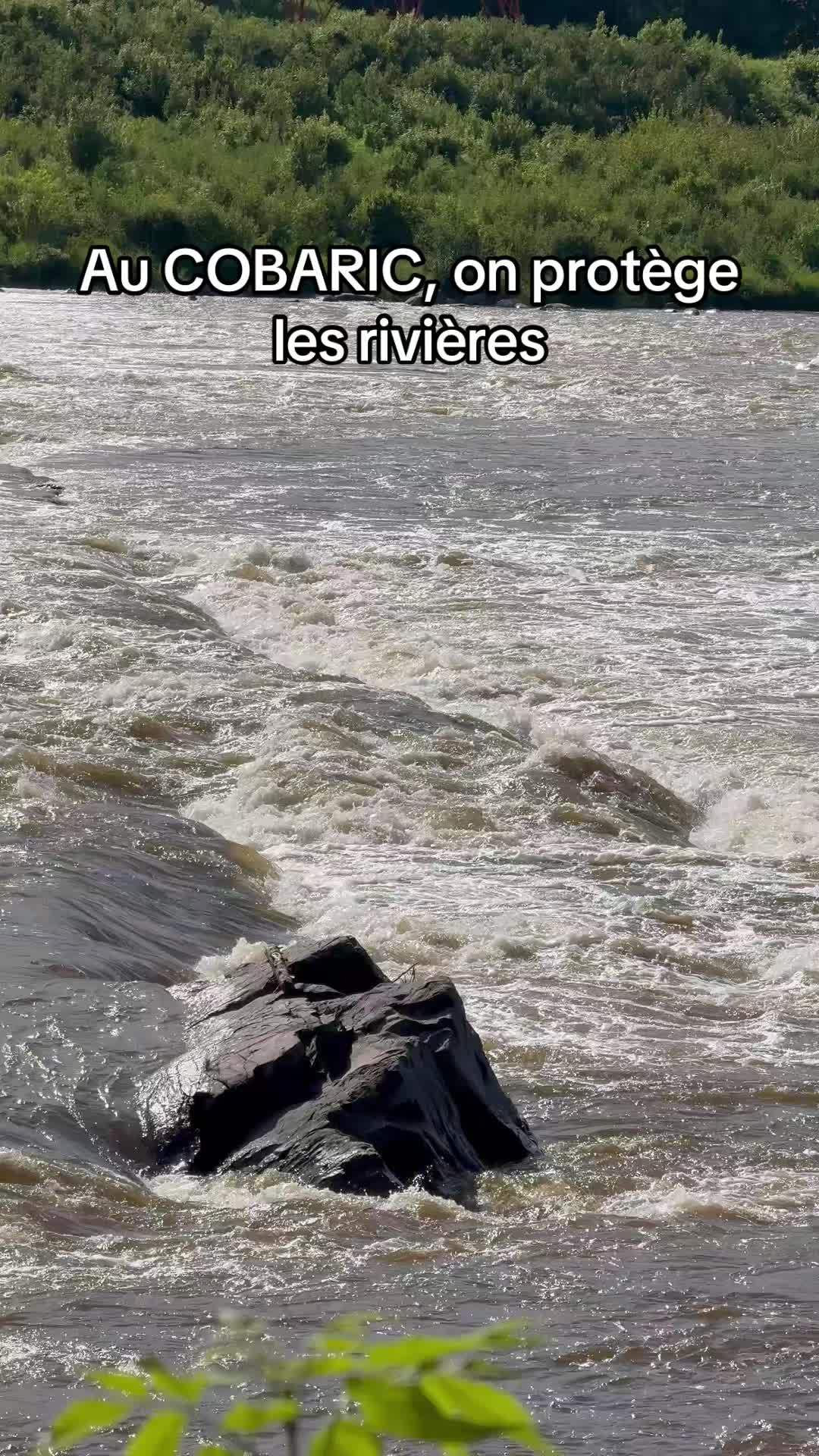 @COBARIC 🌊 Rivi&egrave;re Chaudi&egrave;re