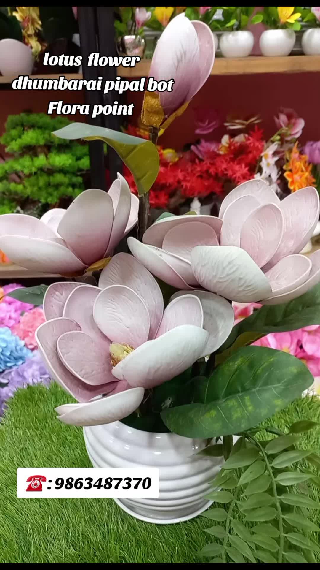 @Flora_p0int-dhumbarahi