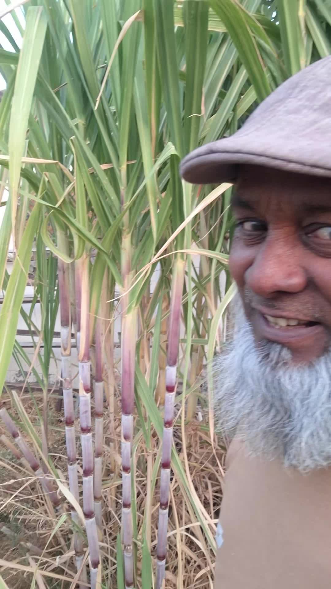 @Rajjak Vai