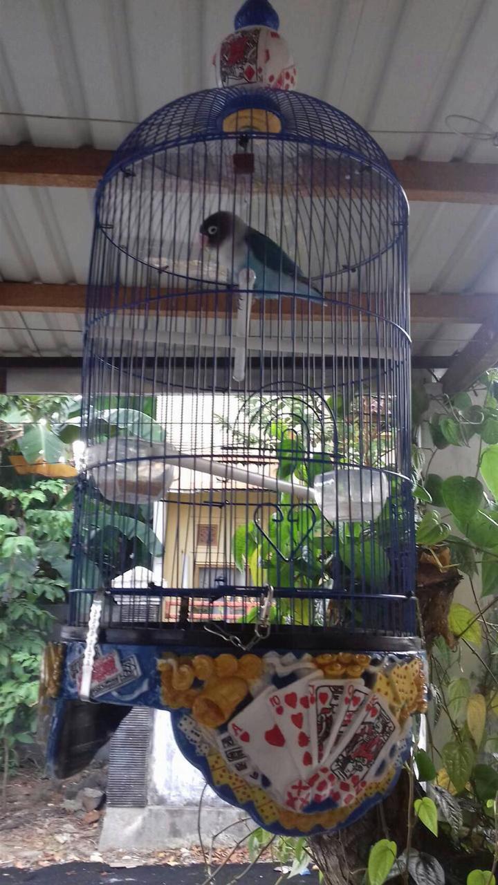 @yuda predator
