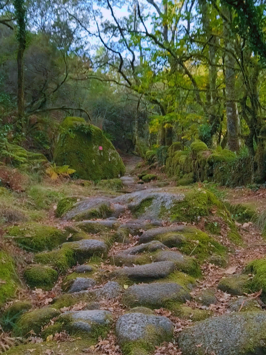 @Ger&ecirc;s Vibes