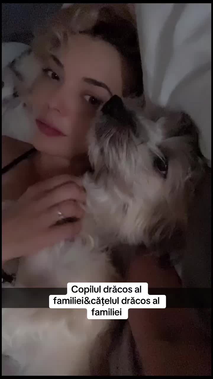 @Andreea Alexandru