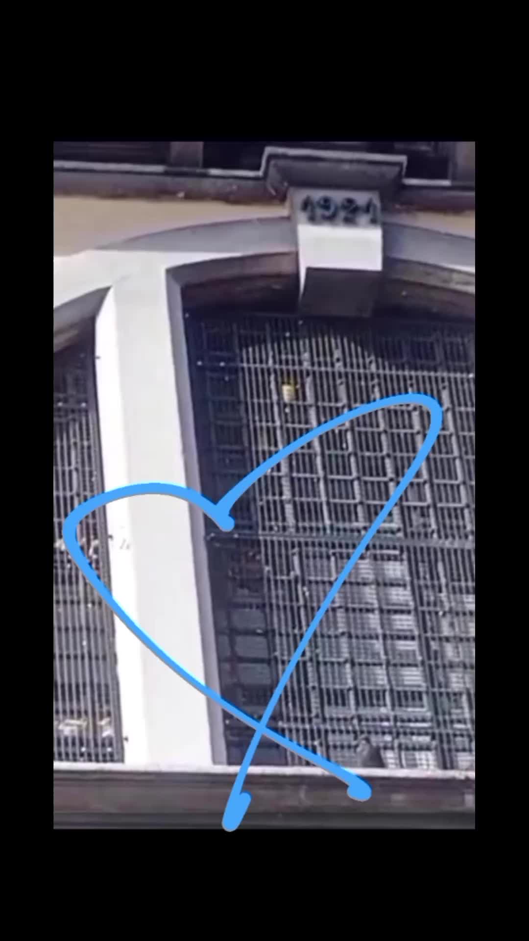 @pakydimaio