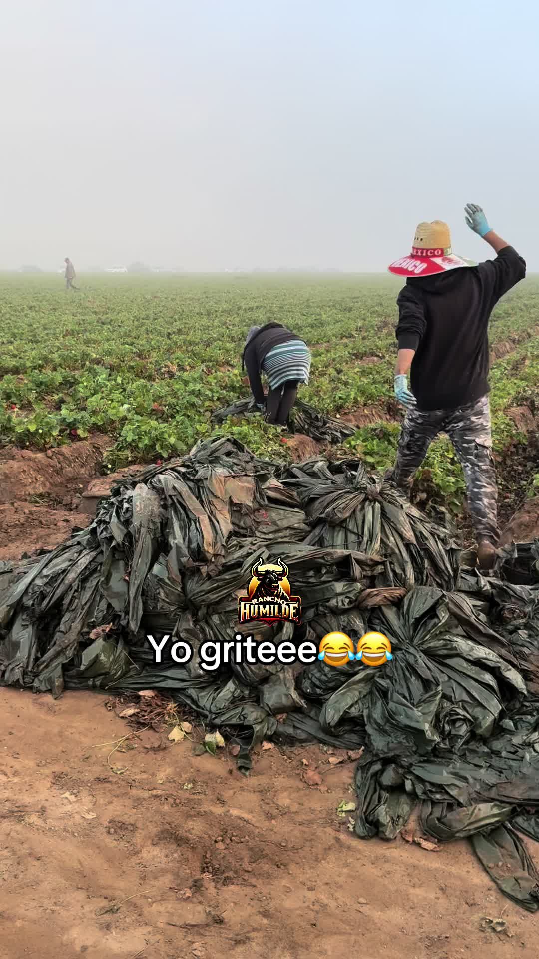 @Rancho humilde