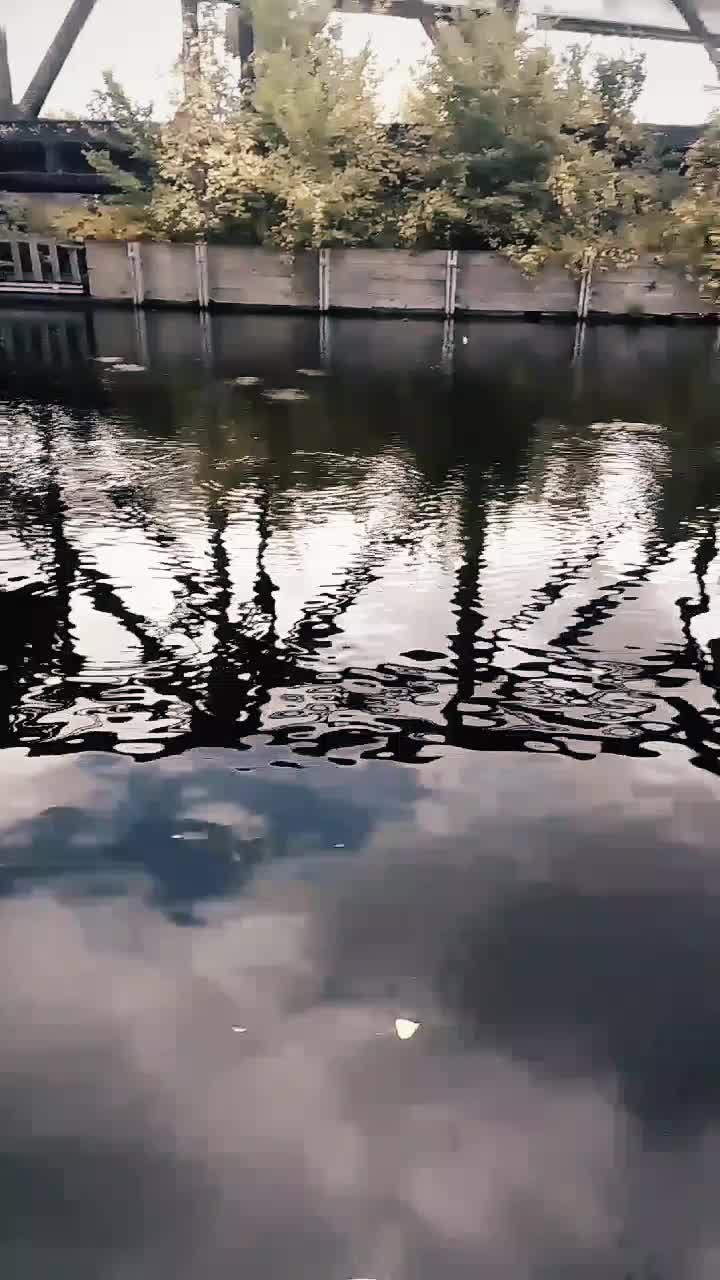 @whitefox.90