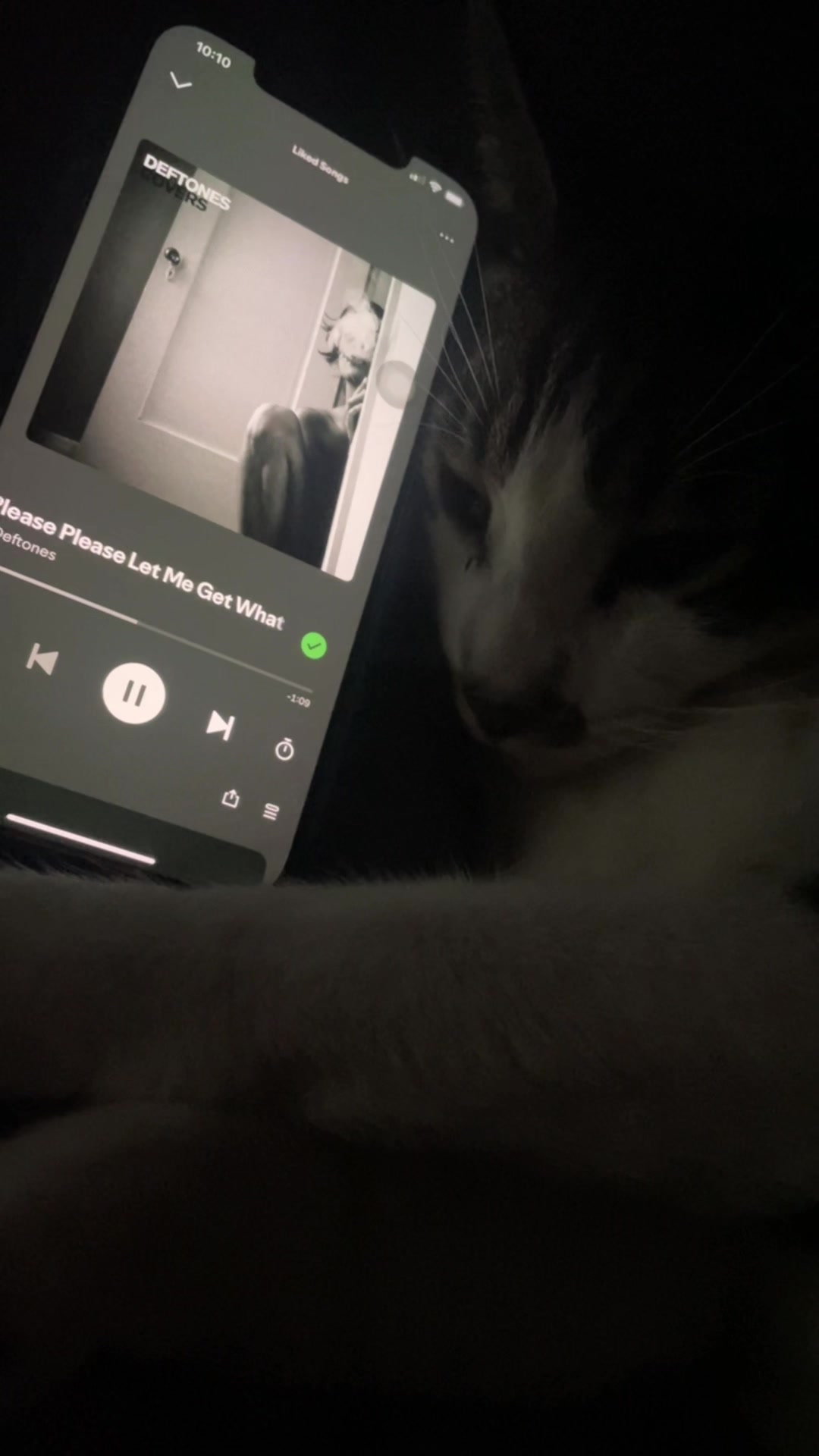 @sleepycatwithmusic