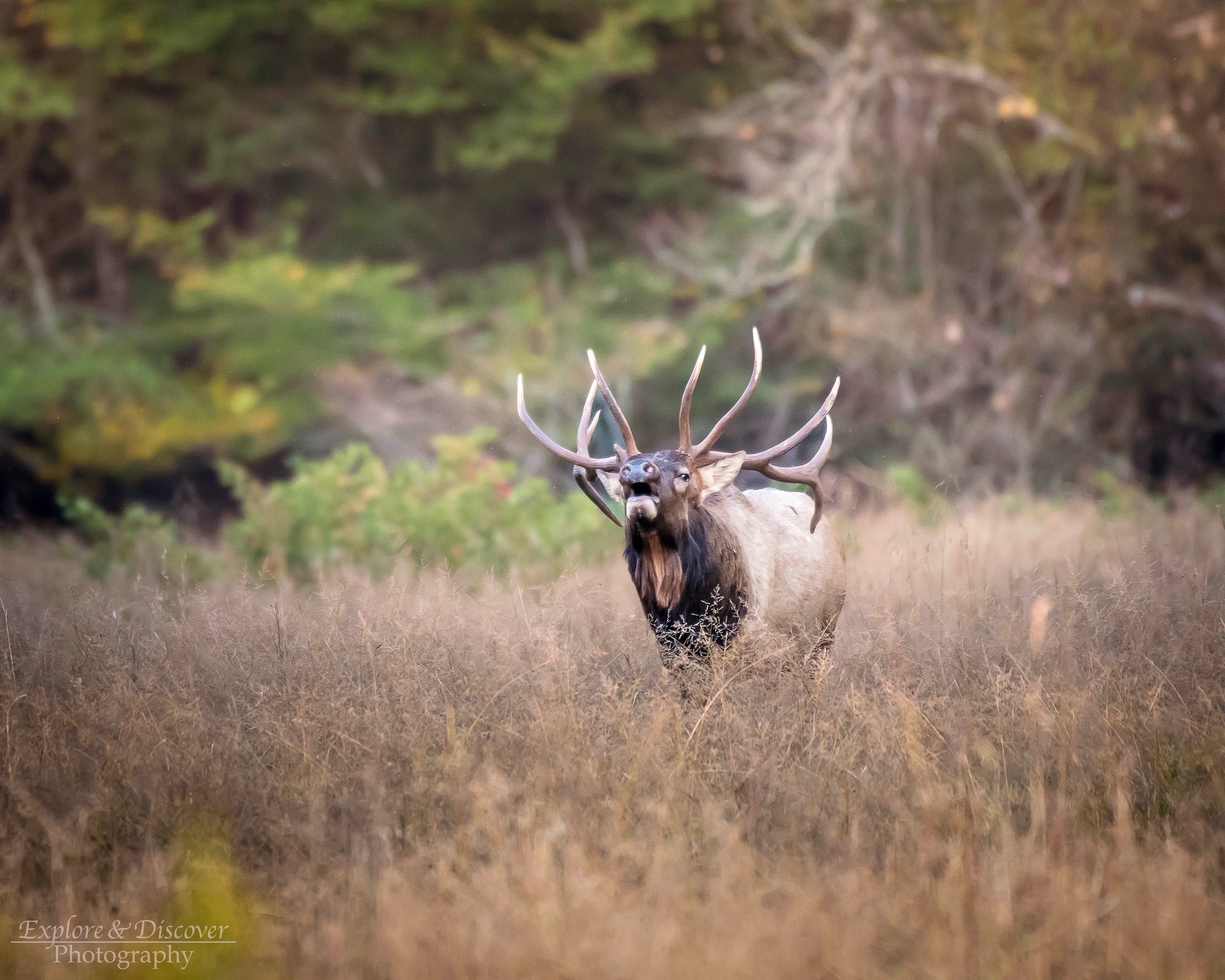 @explorediscoverphoto