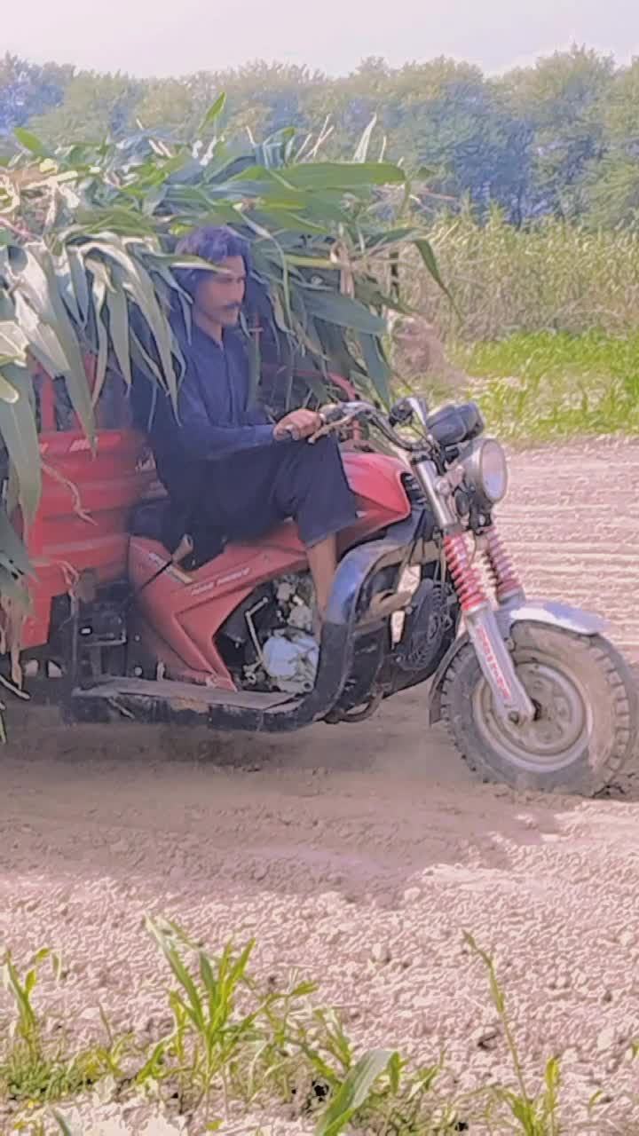 @Mr jabbar 🥰💯🔥