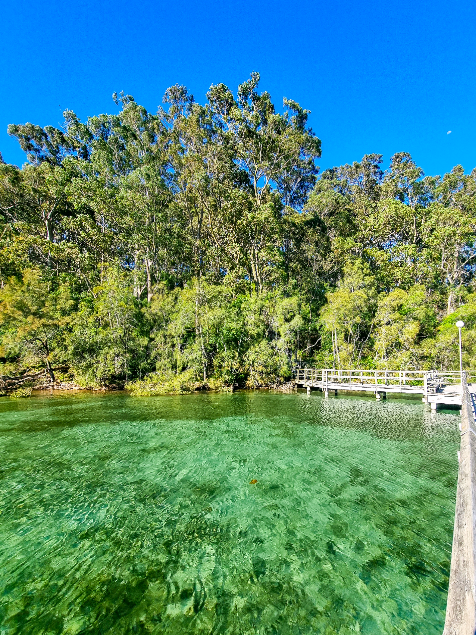 @Nature Love Australia 🌴