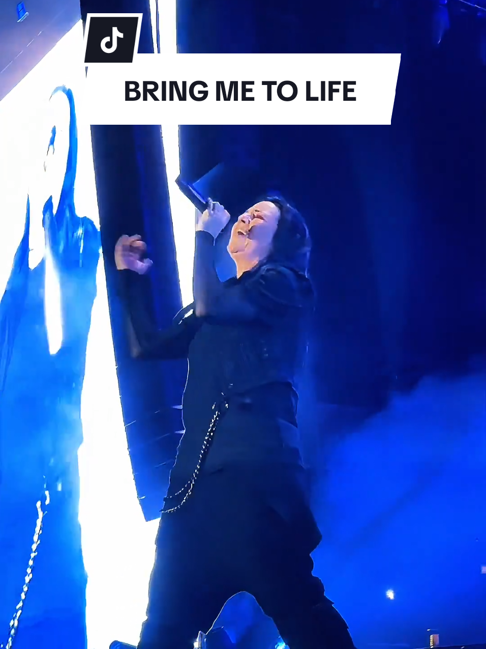 @Evanescence Stories
