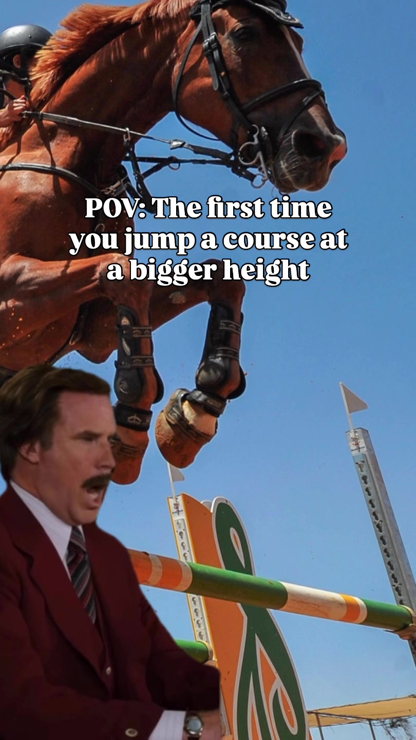 @Young Rider