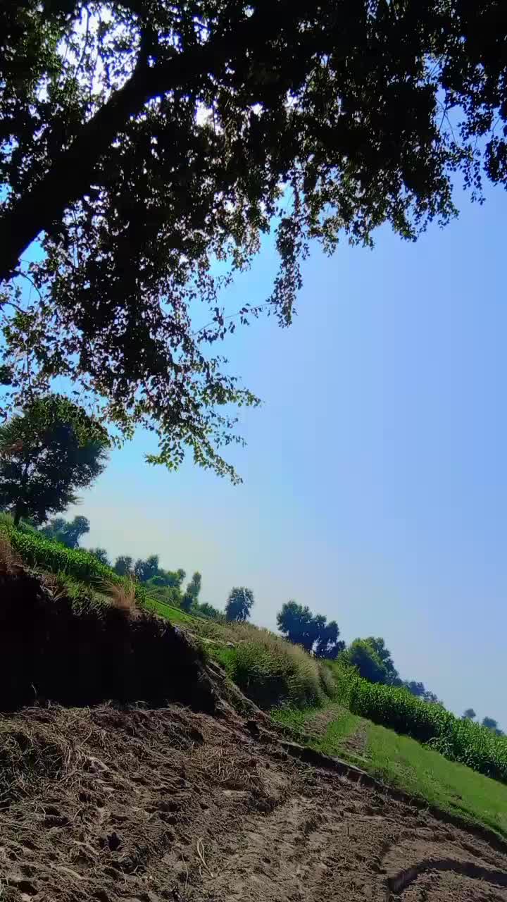 @Sardar RAIS Farhan Burrah