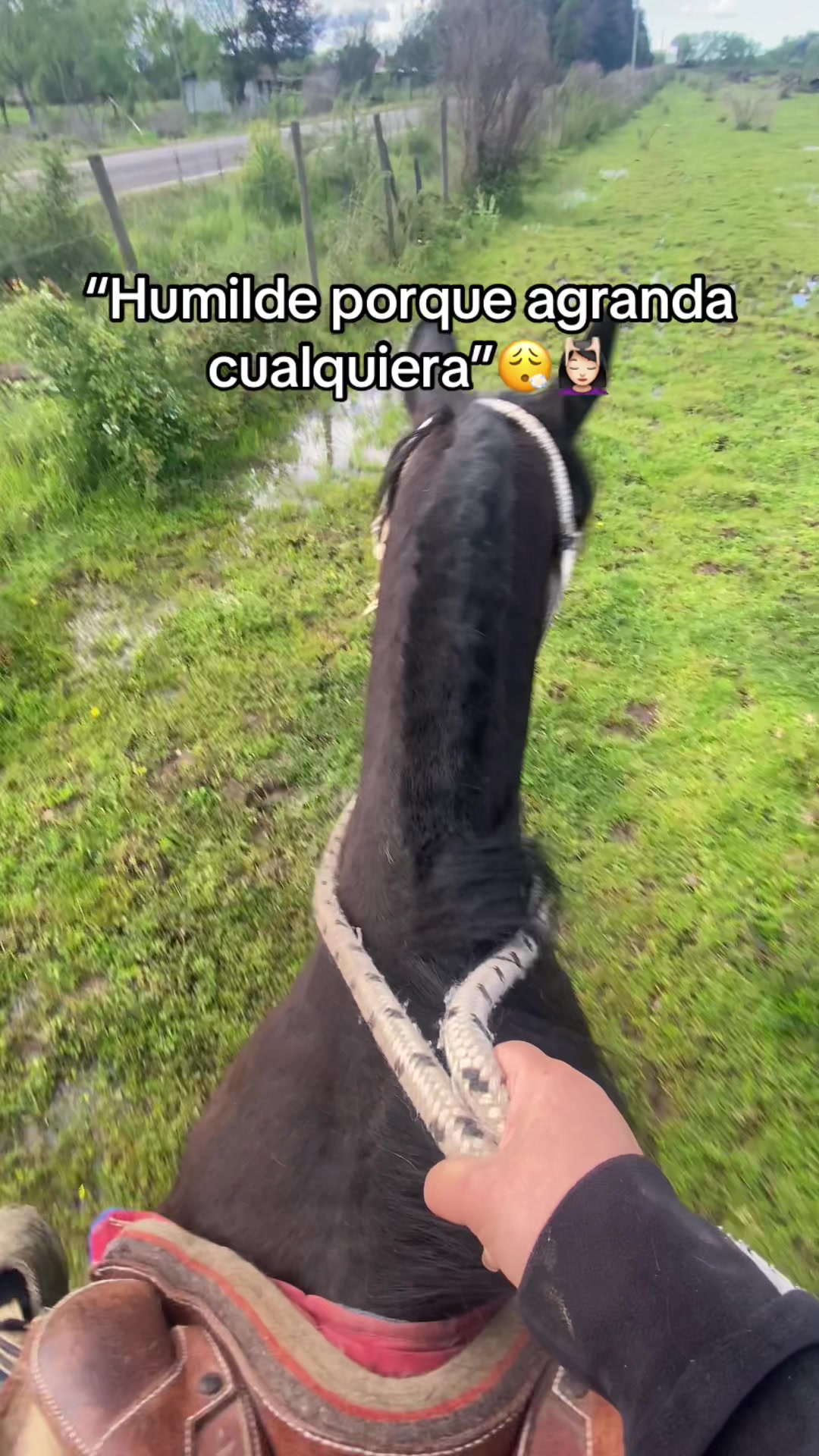@krishna_aguilera17