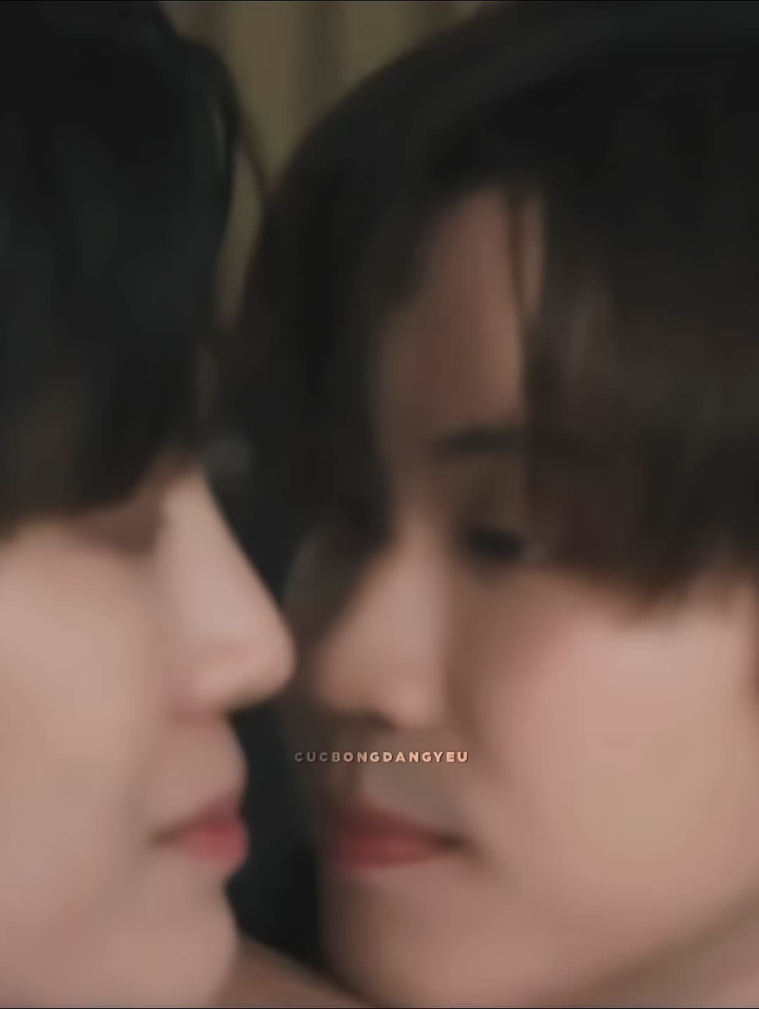 @⋆⑅˚₊𐙚😼🐷⋆˚✿˖&deg;