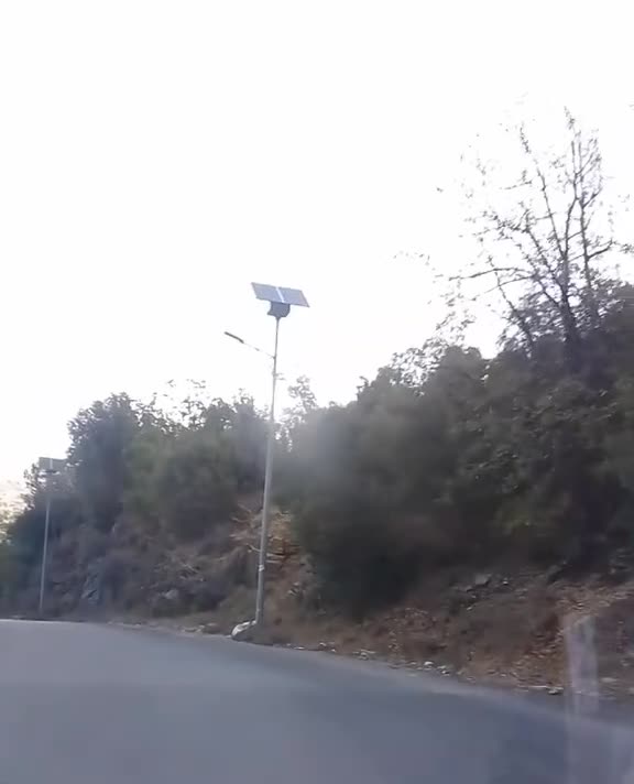 @الحوراء