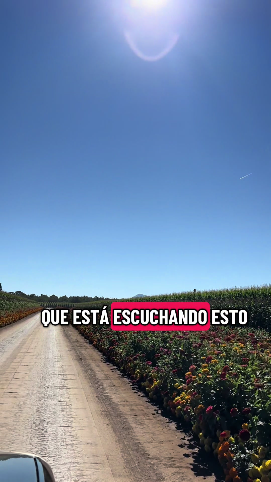 @DEA