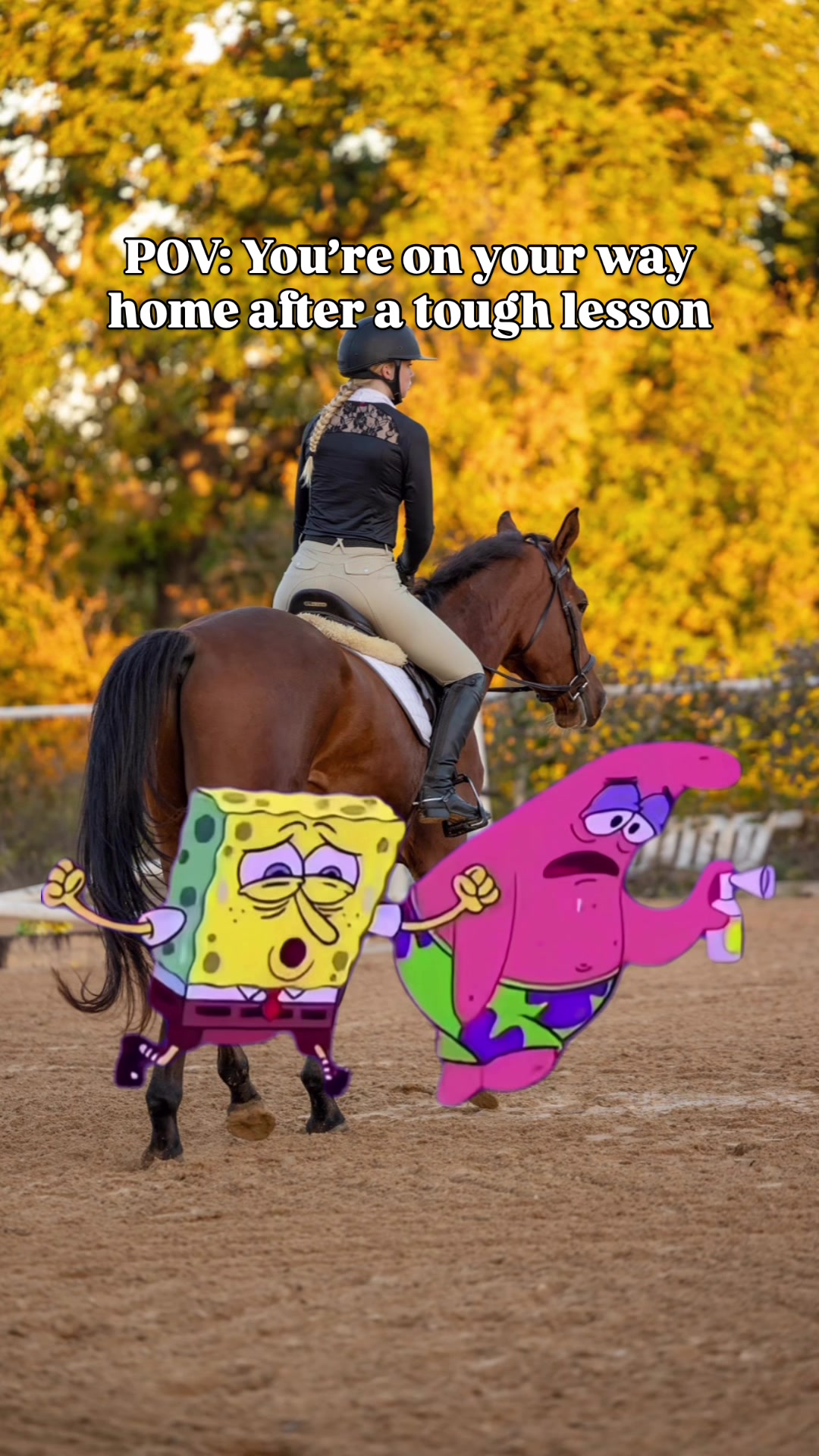 @Young Rider