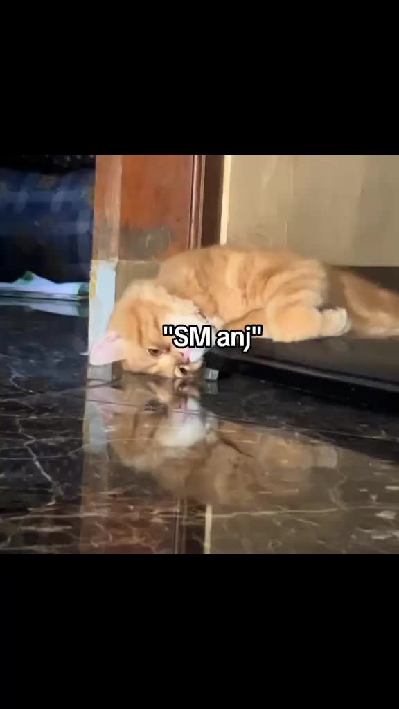 @KAI